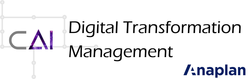 Product Launch: Digital Transformation Management (DTM)
